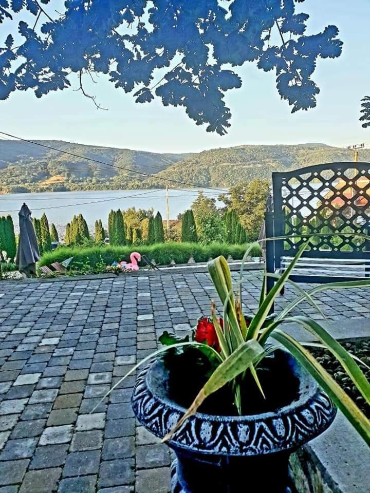 Pensiunea Casa Mircea & Restaurant Ieşelniţa Zewnętrze zdjęcie