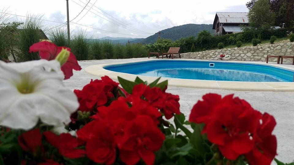 Pensiunea Casa Mircea & Restaurant Ieşelniţa Zewnętrze zdjęcie