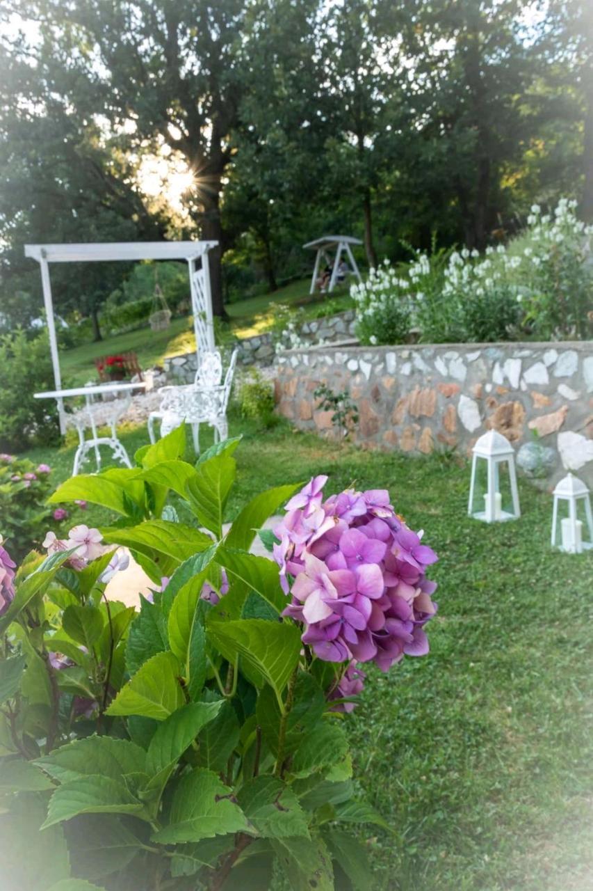 Pensiunea Casa Mircea & Restaurant Ieşelniţa Zewnętrze zdjęcie